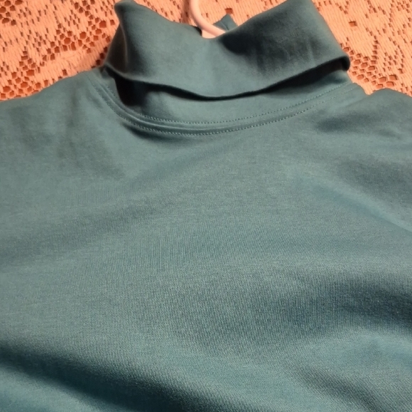L.L. Bean Teal Supima Cotton Turtleneck - Picture 2 of 5